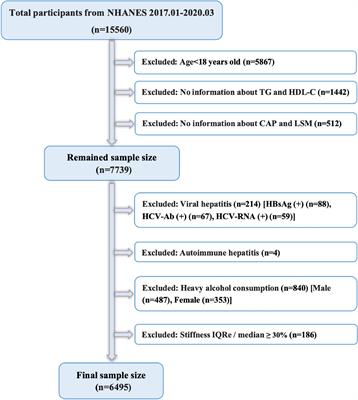 Association between triglyceride to high-density lipoprotein cholesterol ratio and nonalcoholic fatty liver disease and liver fibrosis in American adults: an observational study from the National Health and Nutrition Examination Survey 2017–2020